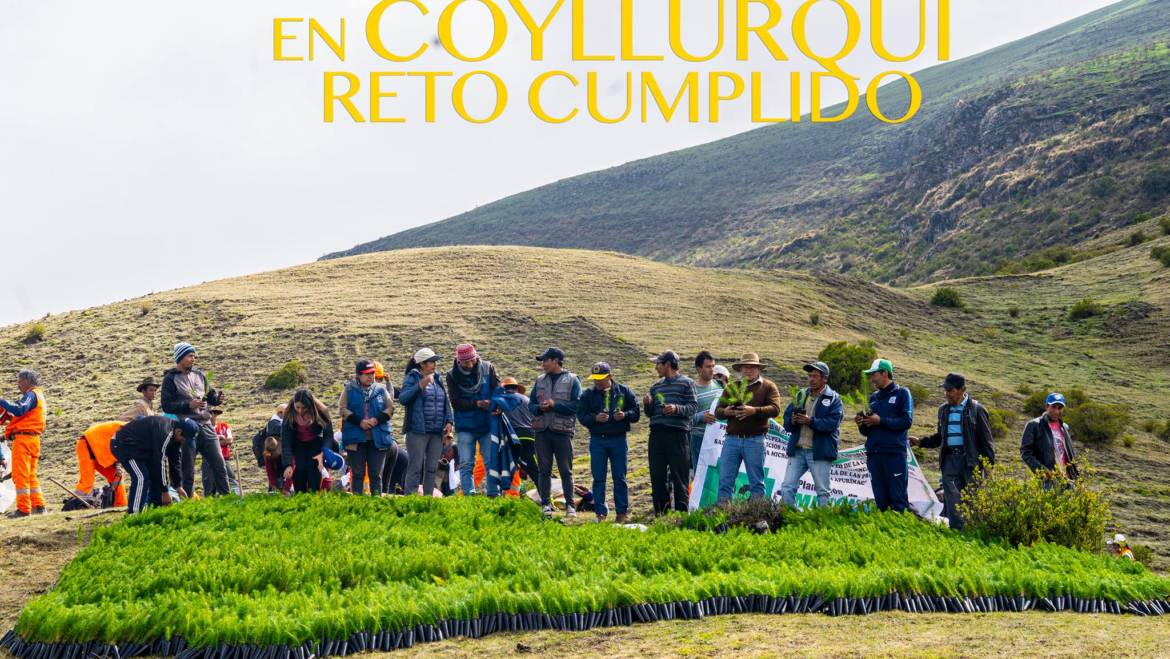 COYLLURQUI SE UNE AL RETO DE PLANTACIÓN DE UN MILLON DE ÁRBOLES EN APURÍMAC.